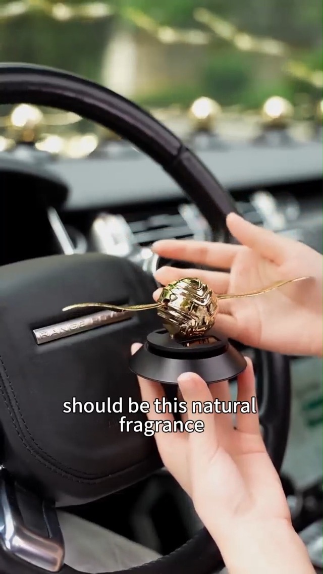 Amazon.com: Kwak's Solar Car Air Fresheners,Solar Car Air